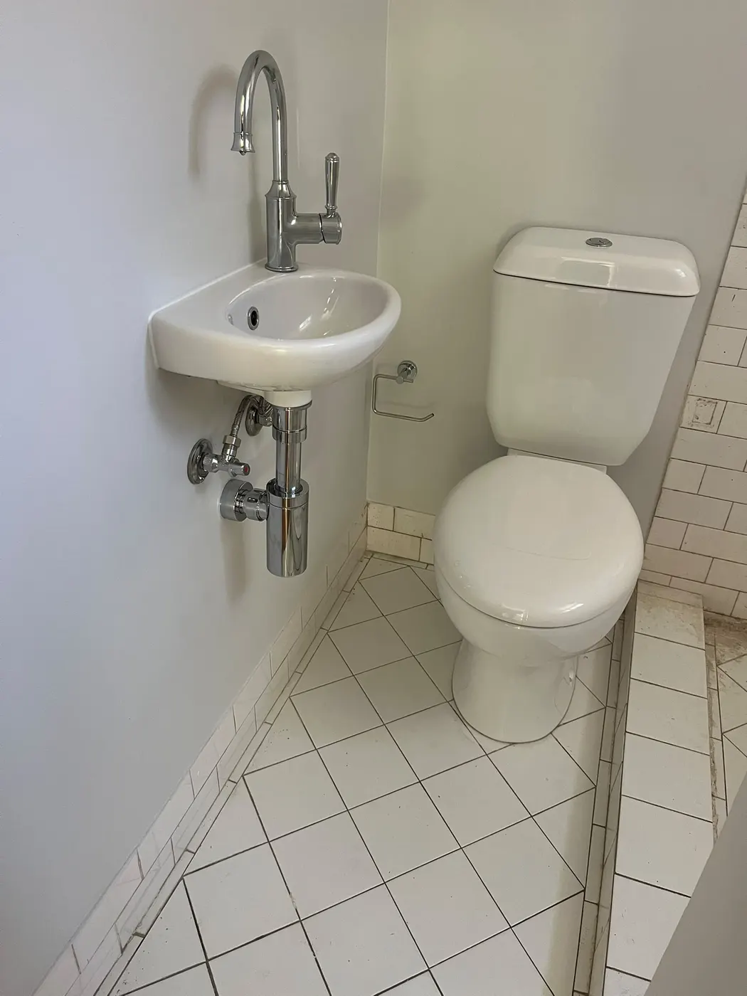 Powder room basin and toilet